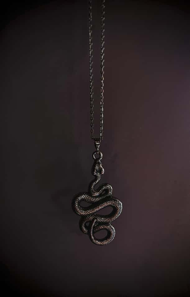 Coiled Snake Necklace - Peppy Chic